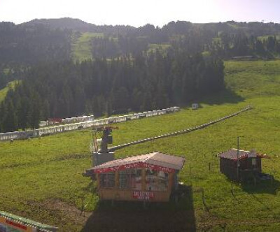 Singletrail Zillertal Arena / Tirol