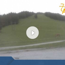 Webcam Filzsteinalm / Singletrail Zillertal Arena