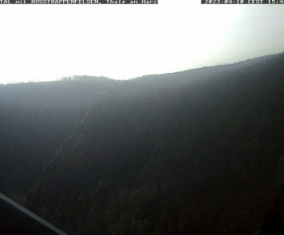 Webcam Rosstrappe / Downhill Rosstrappe